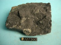 尖晶石橄欖岩藏品圖，第3張