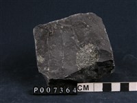 尖晶石橄欖岩藏品圖，第1張