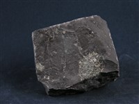 尖晶石橄欖岩藏品圖，第2張