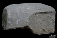 頁岩藏品圖，第2張