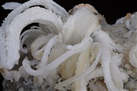透石膏藏品圖，第2張