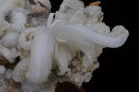 透石膏藏品圖，第3張