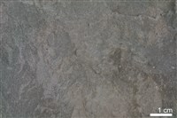 頁岩藏品圖，第3張