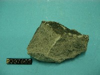 角閃石安山岩藏品圖，第2張