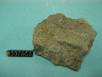 角閃石安山岩藏品圖，第2張