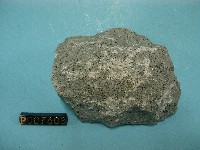 角閃石安山岩藏品圖，第2張