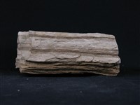 石灰質片岩藏品圖，第3張