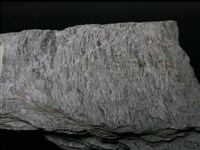 片岩藏品圖，第4張