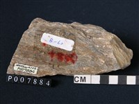 矽質片岩藏品圖，第2張