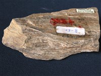 矽質片岩藏品圖，第3張