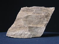 矽質片岩藏品圖，第3張