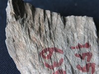 矽質片岩藏品圖，第2張