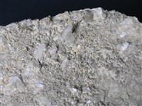 矽質片岩藏品圖，第2張