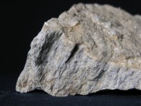 矽質片岩藏品圖，第3張