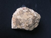 矽質片岩藏品圖，第1張