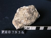 矽質片岩藏品圖，第2張