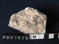 矽質片岩藏品圖，第3張