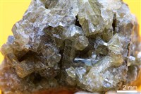 符山石/鈣鋁榴石藏品圖，第4張