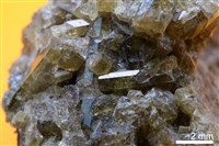 符山石/鈣鋁榴石藏品圖，第5張