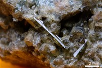 符山石/鈣鋁榴石藏品圖，第6張