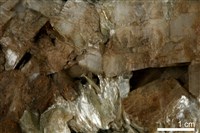 白雲石/滑石藏品圖，第5張