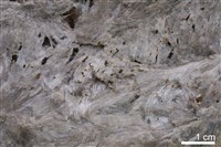 矽灰石藏品圖，第2張