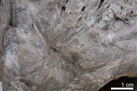 矽灰石藏品圖，第3張