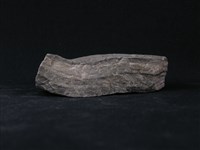 石灰質片岩藏品圖，第3張
