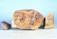 變質燧石藏品圖，第5張