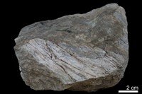 變質燧石、綠色片岩藏品圖，第4張