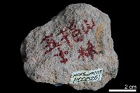 石英砂岩藏品圖，第2張
