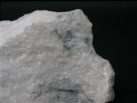 大理岩藏品圖，第4張