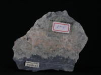 蛇紋岩藏品圖，第4張