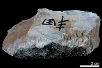 燧石藏品圖，第3張