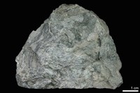 矽質片岩藏品圖，第1張