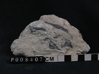 蛇紋岩,石棉藏品圖，第2張