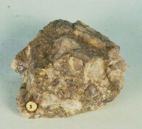 含金礫岩藏品圖，第5張