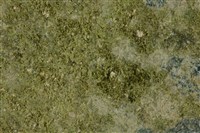 綠簾石藏品圖，第2張