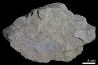 石英砂岩藏品圖，第2張