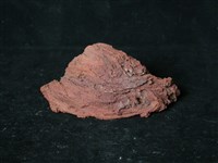 熔岩藏品圖，第1張