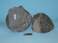 輝長岩藏品圖，第2張