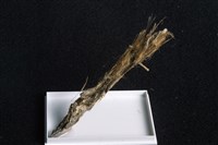 水矽鐵鎂石藏品圖，第1張