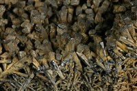 銅釩鉛鋅礦藏品圖，第2張