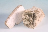 白堊藏品圖，第5張