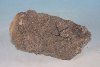 玄武岩藏品圖，第2張
