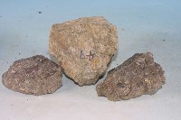 輝長岩藏品圖，第4張