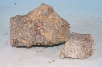 輝長岩藏品圖，第3張