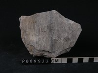 變質砂岩藏品圖，第2張