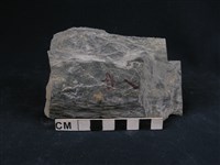 雲母石英片岩藏品圖，第1張