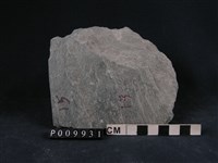 石英片岩、綠泥石片岩藏品圖，第1張